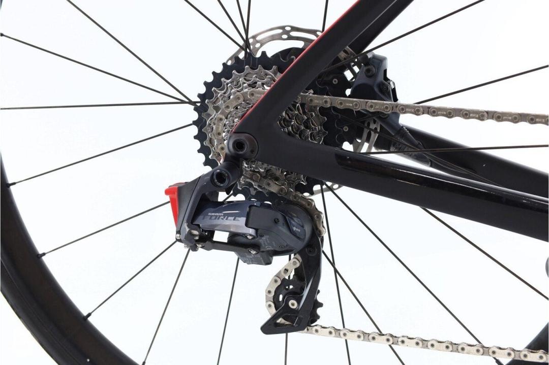 Rose Rose Reveal Four AXS 12V 2023