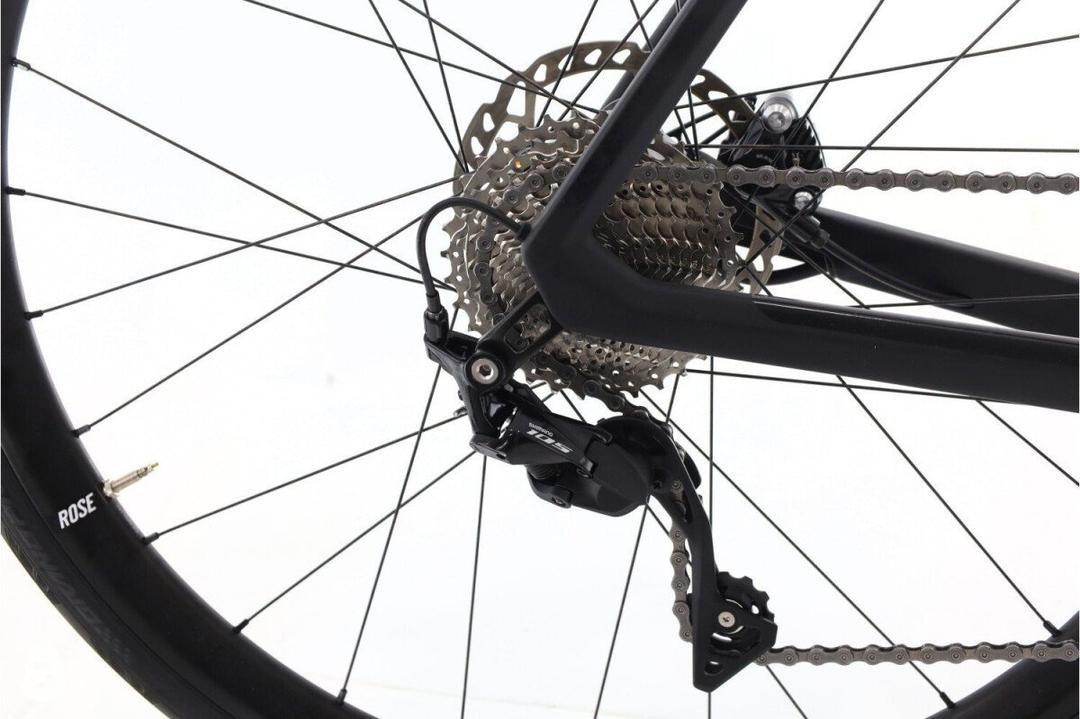 Rose Rose Reveal Plus 2024