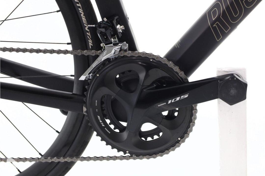 Rose Rose Reveal Plus 2024