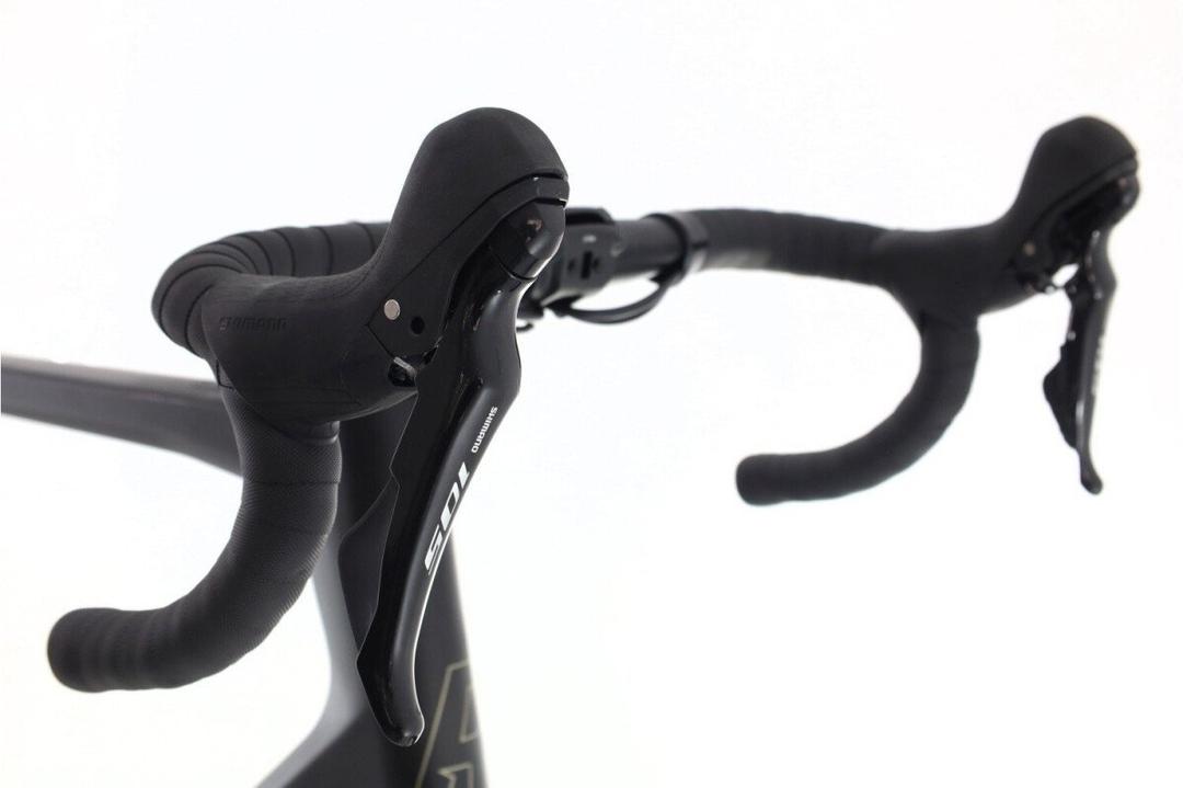 Rose Rose Reveal Plus 2024