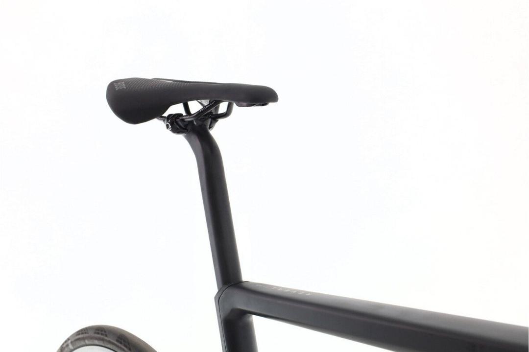 Rose Rose Reveal Plus 2024