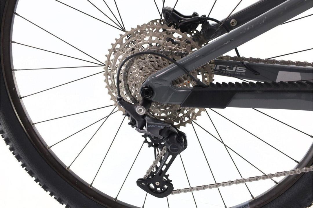 Focus Thron 6.8 2024