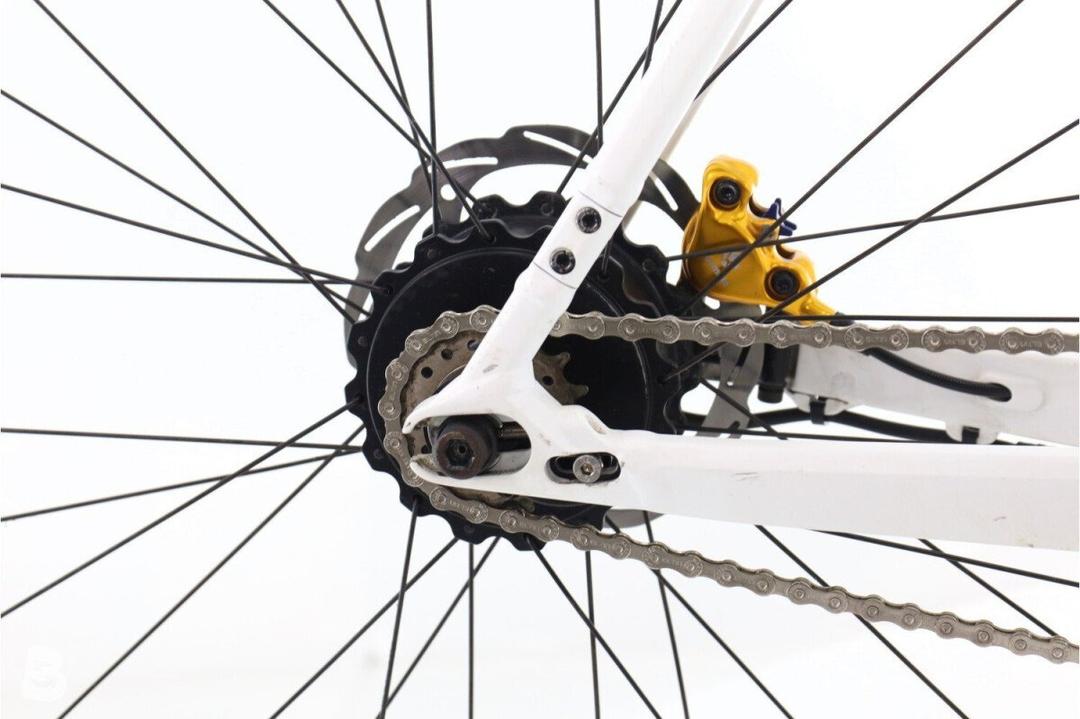 Rose Rose Sneak+ 2024