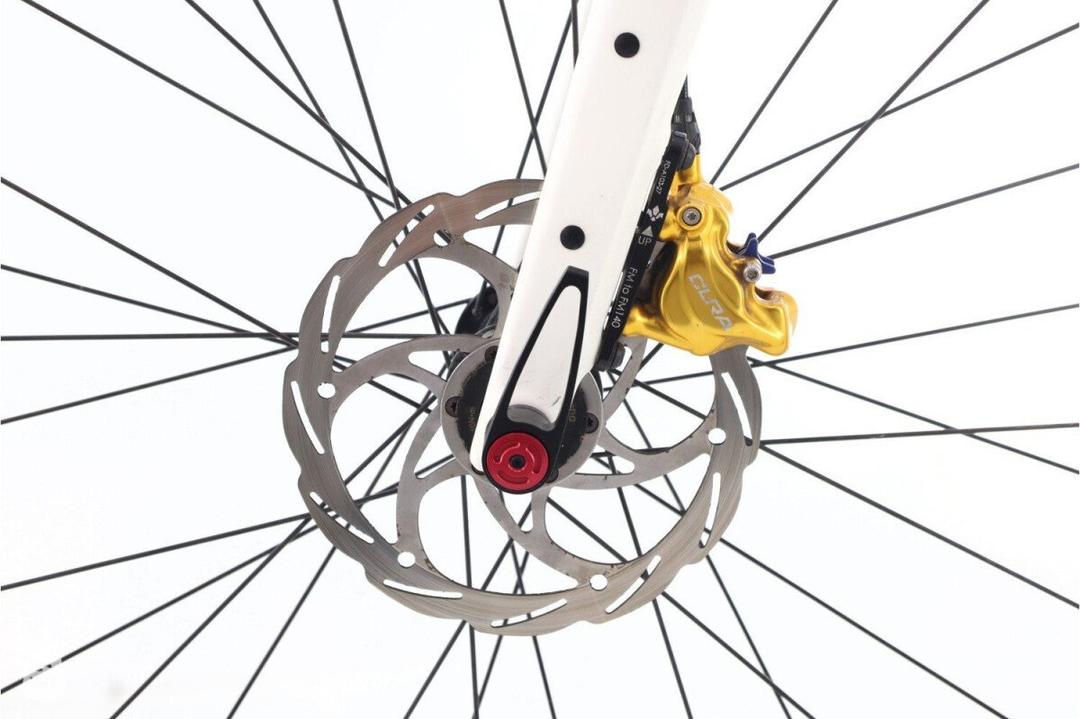 Rose Rose Sneak+ 2024